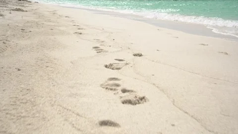 Footprints on a wild sandy sea beach. Stock Footage 296489300