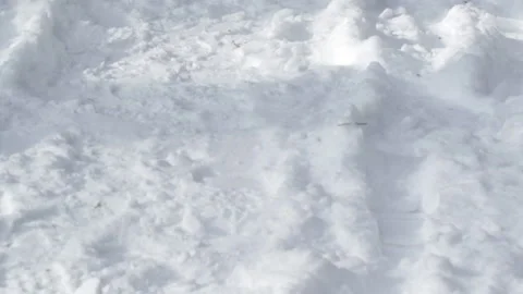 Footprints in the winter forest 库存影片 86738817