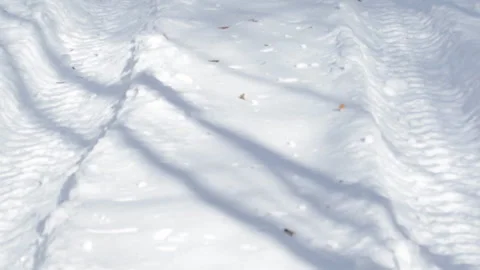 Footprints in the winter forest Stock Footage 86738918