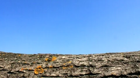 Foots Stock Footage 711633