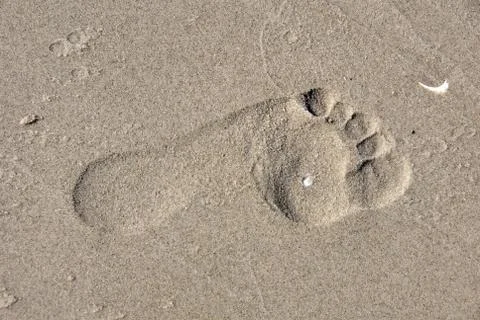 Footstep on beach Stock Photos
