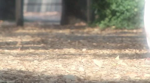 Footstep HS 스톡 동영상 8086271