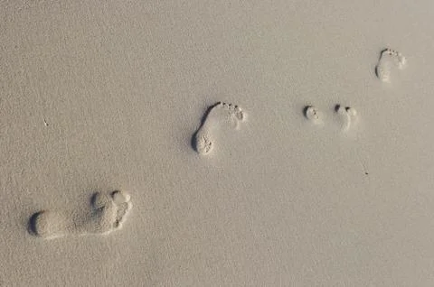 Footstep on the sand beach Photos