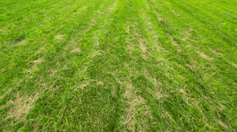 Footstep Walk on the Green Field Stock Footage 39760937
