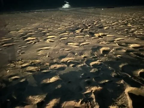 Footsteps on the beach in the evening Stock Photos