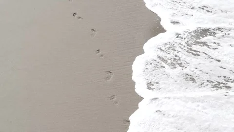 Footsteps on the beach Vídeo Stock 284680999