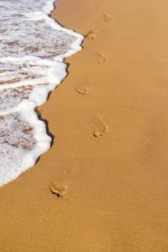 Footsteps on the beach Stock Photos