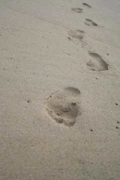 Footsteps On The Beach Stock Photos