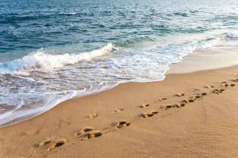  Footsteps on the beach Stock Photos