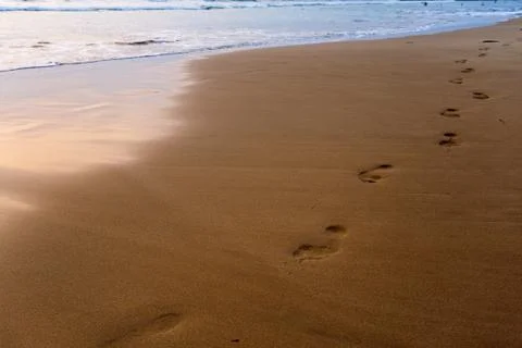 Footsteps on the beach Stock Photos