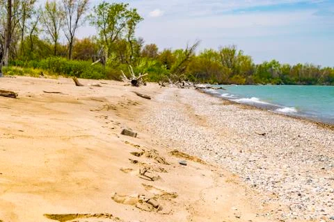 Footsteps On The Beach Stock Photos