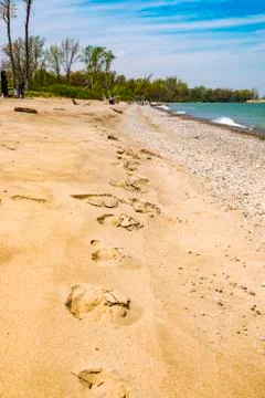 Footsteps On The Beach Stock Photos
