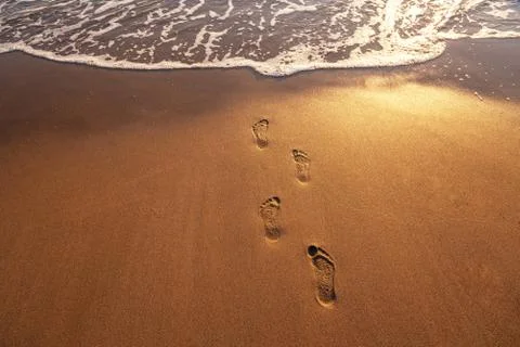 Footsteps on the beach. Stock Photos