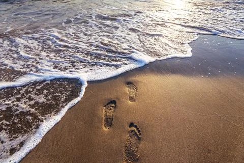 Footsteps on the beach. Stock Photos