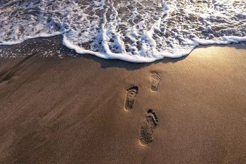 Footsteps on the beach. Stock Photos