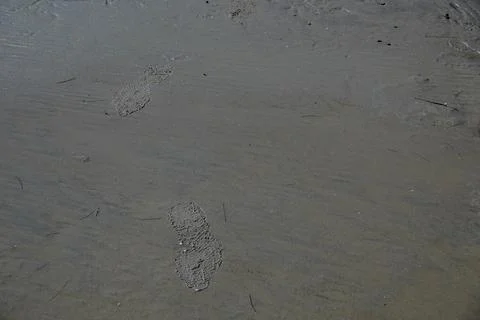 Footsteps on beach in the sand Stock Photos