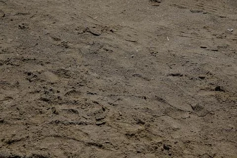 Footsteps on beach in the sand Stock Photos
