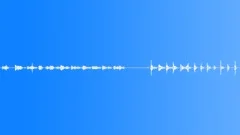 Footsteps on the beach - Wet Sand 01 Sound Effect