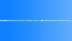Footsteps on the beach - Wet Sand 02Sound Effect