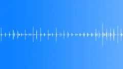 Footsteps on Concrete 02 Sound Effect