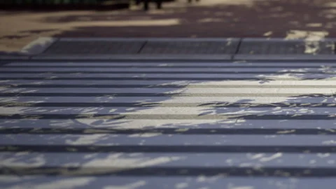 Footsteps on the crosswalk under the trees in the city during the afternoon Stock Footage 343564769