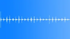 Footsteps on crunchy forest road loop Sound Effect
