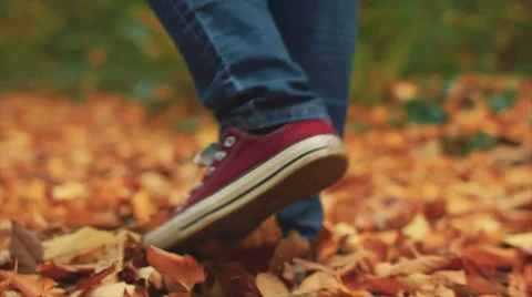 Footsteps in dead leafs Stock Footage