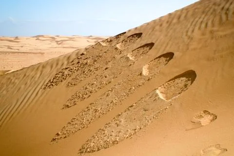 Footsteps in Desert Foto stock