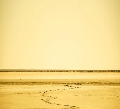 Footsteps in the desert. Surface of a light flat sand desert, covered with sm Stock Photos