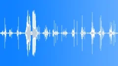 Footsteps on dry undergrowthSound Effect