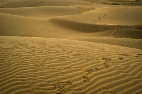 Footsteps on the dunes Stock Photos