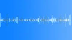 Footsteps on the floor, slippers, carpet, carpeting, medium tempo 02Sound Effect