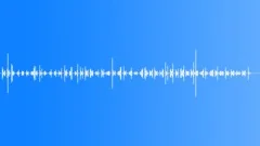 Footsteps on the floor, sneakers, carpet, carpeting, slow tempo 01 Sound Effect