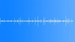 Footsteps on the floor, sneakers, linoleum, slow tempo 02Sound Effect