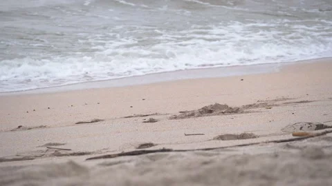 Footsteps Video stock 204897059