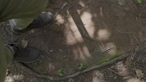 Footsteps on the Forest Floor in Guaviare Stock Footage 336519474
