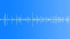 Footsteps on a Forest Road sound effect Sound Effect