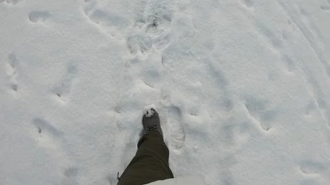 Footsteps in Fresh Snow Stock Footage 328421779