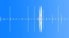 Footsteps Hard Wood Floor Sound Effect