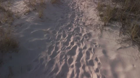 Footsteps Leading to the Beach and Ocean Drone Video Stock Footage 261641579