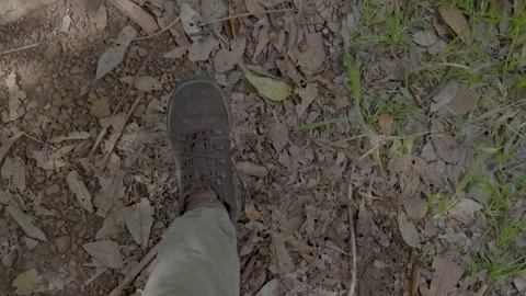 Footsteps on Leafy Trail in Guaviare Stock Footage 336519636