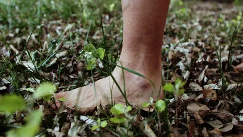 Footsteps on leaves Stock Footage 161465927