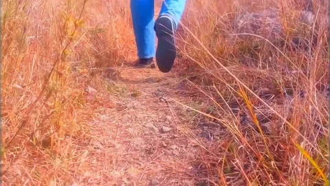 Footsteps of Man Hiking Stock Footage 136989351