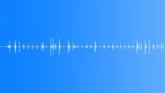 Footsteps on the Parquet sound effect 01 Sound Effect