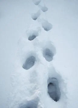 Footsteps Stock Photos