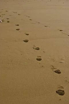 Footsteps Stock Photos