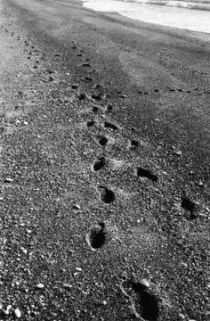 Footsteps Stock Photos