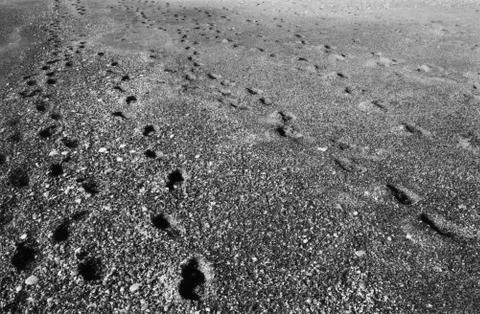 Footsteps Stock Photos