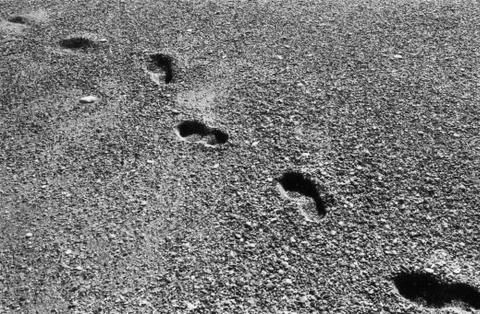 Footsteps Stock Photos