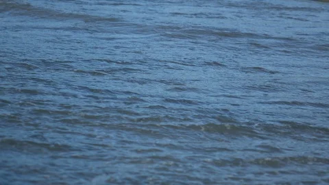 Footsteps on the sand and waves Stock Footage 114429054